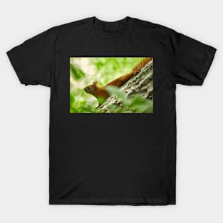 Squirrel in a tree T-Shirt